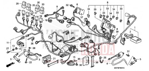 KABELBAUM (XL1000VA) XL1000VA6 de 2006